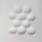 1 Inch Baby's Ear Seashells (Bundle of 10)