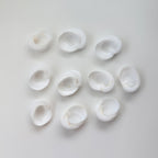 1 Inch Baby's Ear Seashells (Bundle of 10)