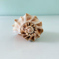 Florida Lightning Whelk Seashell