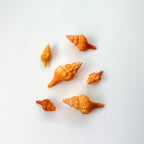 Bundle of 6 Orange Horse Conch seashells including medium and small sizes hand-picked from St. Pete Beach Florida for shell collecting, crafts, and coastal decor 🐚✨