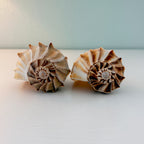 Florida Lightning Whelk Seashells (Large Bundle)
