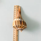 Florida Lightning Whelk Seashells (Bundle of 3) + Bonus Shells